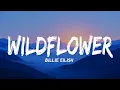 Download Lagu Billie Eilish - WILDFLOWER (Lyrics)