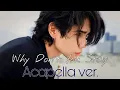 Jeff Satur 'Why Don't You Stay' (English ver.) (Acapella)