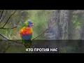 Download Lagu Виктор цой-кино-муравейник. Караоке