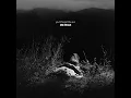 in tandem (feat. Haste the Day) - idle threat