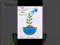 Environment day Environment Day card