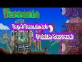 5 Of The Best Terraria 1 4 Public Servers PUBLIC SERVERS