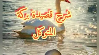 شرح قصيدة بركة المتوكل للبحتري 