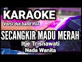 Lagu SECANGKIR MADU MERAH - Itje Trisnawati | Karaoke dut band mix nada wanita | Lirik