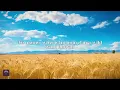 lainey wilson - out of oklahoma (lyrics)