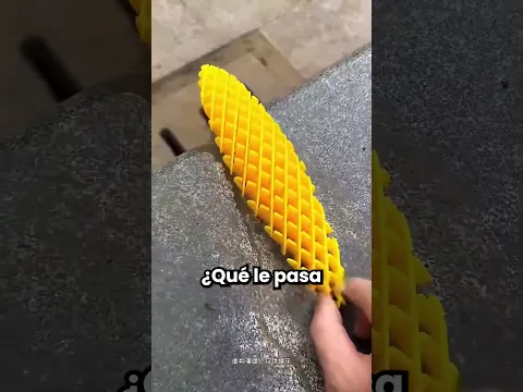 Bichitos De Colores Invadieron Mi Jardín! 😱
