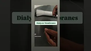 membrane