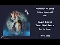 [1 Hour] Scars Leave Beautiful Trace - Car, the Garden | Alchemy of Souls [OST] Part 1