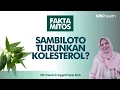 Ragam Manfaat Sambiloto, Dokter Ungkap Faktanya.. | Kata Dokter #162