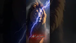 ٢٢ أغسطس ٢٠٢٥ 