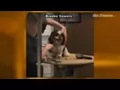 PetSmart grooming viral