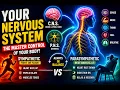 The Master Control Center Your Nervous System