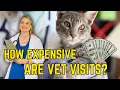 what the real cost of a vet visit looks like