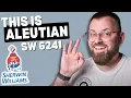 Sherwin-Williams Aleutian Cozy or Chilly Review Inspiring Color Ideas 2024
