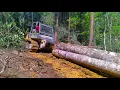 Lagu tarikan terakhir yg merepotkan#buldozer #hutan #kayu #kalimantan@dadiedandel1353