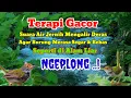 Lagu TETAPI AIR | SUARA AIR DERAS | TERAPI BURUNG MACET BUNYI #Suara Alam