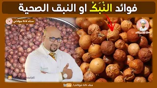 فوائد النبك او النبق الحليف الطبيعي للمرأة مع الدكتور عماد ميزاب               دندنها