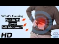 Abdominal Ailments Common Triggers of Lower Left Pain Explained