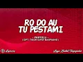 Download Lagu Ro Do Au Tu Pestami - Partolu || Lirik Lagu Batak Terpopuler