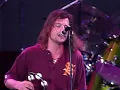 Gin Blossoms - Allison Road (Live at Farm Aid 1994)