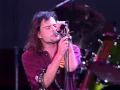 Download Lagu Gin Blossoms - Allison Road (Live at Farm Aid 1994)