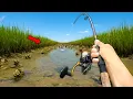 Download Lagu Eating Whatever I Catch.. BIG Fish in Shallow Water (Catch and Cook)