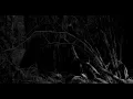 BEHEMOTH - A Forest (THE CURE cover) (subtitulado)