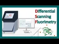 Differential Scanning Fluorimetry DSF DSF application Thermal stability of protein
