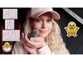 Meet My Baby Chicks