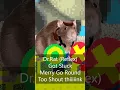 Dr.Rat playing Merry go Round..... (Dr.Reflex) #baldibasics #baldi