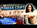 The Downfall of Inglewood s Tongan Crips