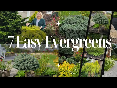 Download MP3 7 Evergreens for Every Garden!