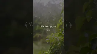 ومن آياته يريكم البرق محمد صديق المنشاوي رحمه الله Quran القرآن الكريم Explore المنشاوي 