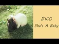 ZICO - She's a Baby (Romanization Lyrics)