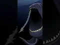 Download Lagu The Bloop Diet #shorts