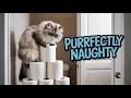 Pet Passages of The Finger Lakes with Wendy Carlisle episode