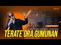 Download Lagu TERATE ORA GUMUNAN - RINDI SAFIRA | ADMAJA MUSIC - WSSPRO AUDIO ( SEPIRO GEDENE SENGSORO )