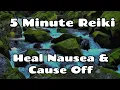 Reiki Prevent Heal Nausea 5 Minute Session Healing Hands Series