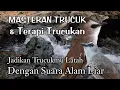Lagu TERAPI TRUCUKAN || MASTERAN TRUCUKAN KOMBINASI SUARA AIR MENGALIR
