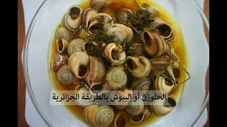 Download طريقة تحضير الببوش ( الحلزون) بالخطوات بالطريقة الجزائرية /Escargots aux herbes MP3