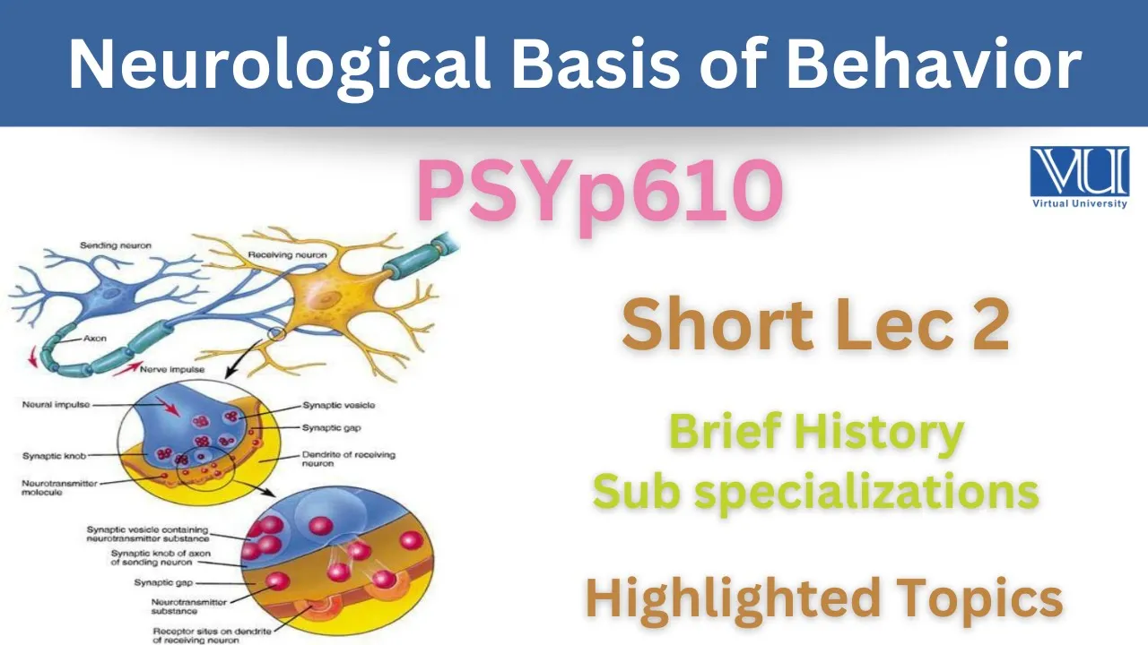 PSYp610 Short Lecture 2_Neurological Basis_Brief History_Sub-Specializations_Psy610 Short lec 2