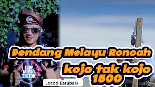 dendang melayu roncah kojo tak kojo 1500 cover locod batubara locodbatubara