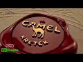 Download Lagu NEW! Camel Kretek - Rp 16.000/12 Batang (2025) TVC