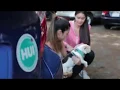 Toyota Servco Hui All Demos