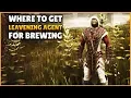 Leavening Agent Conan Exiles