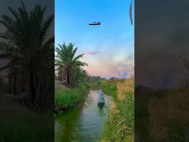 ⁣اكو نماذج من الناس من تكعد يمه تكول الدنيا بخير !! #الشيخ_احمد_الوائلي