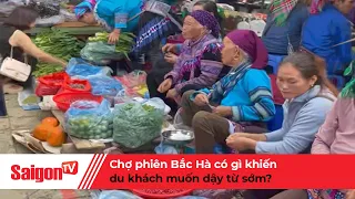 Chợ phiên Bắc Hà có gì khiến du khách muốn dậy từ sớm? | Tin tức SaigonTV
