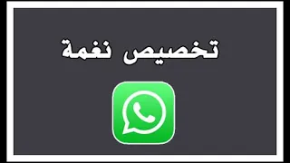 تغيير نغمات الواتساب وتخصيص لكل شخص نغمه 