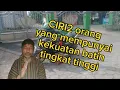 Lagu CIRI2 orang yang mempunyai kekuatan batin tingkat tinggi(@Mbah Yadi Channel)