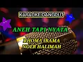 Download Lagu Aneh tapi nyata Rhoma irama ft Noer halimah karaoke dangdut lawas original@dewanggamusic9922